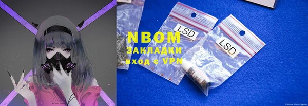 мдпв Осташков
