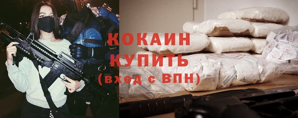 прущие грибы Няндома