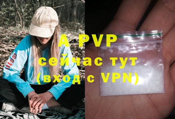 круглые Пересвет