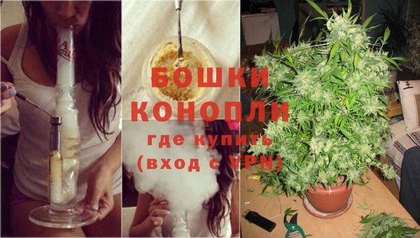 крисы Осинники