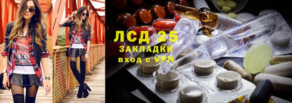 крисы Осинники