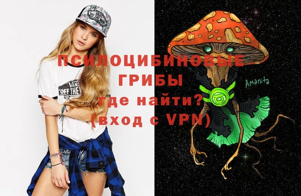 крисы Осинники