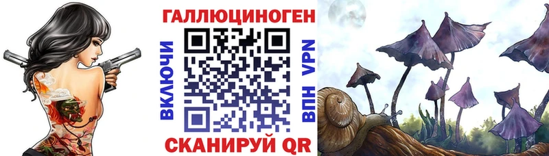 Галлюциногенные грибы Magic Shrooms  Новоульяновск 