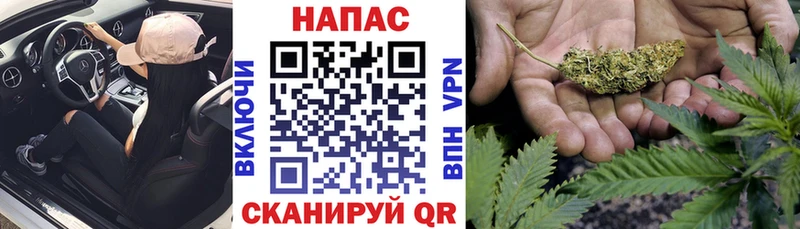 Конопля White Widow  Новоульяновск 